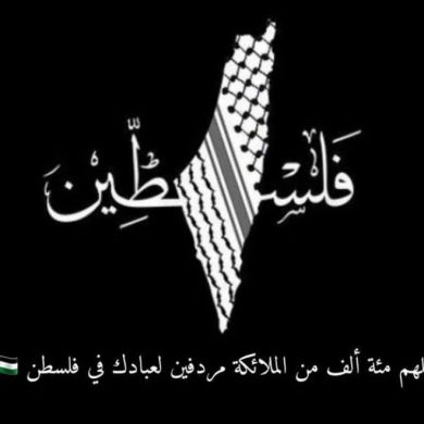 Nis Riine Profile Picture