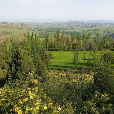 Vahobiddin Nurmuhammad Profile Picture