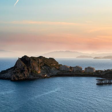 sueol lie Profile Picture