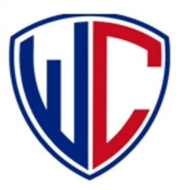 WholeClear OST to HTML Converter