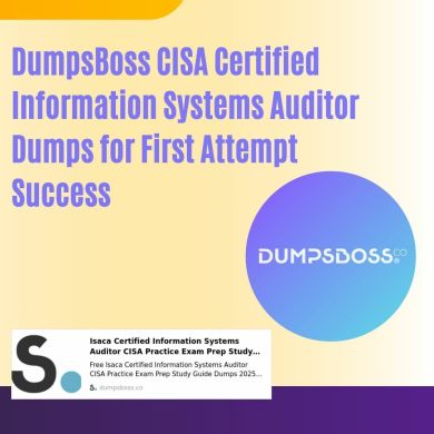 CISA Certified Information Systems Auditor Dumps