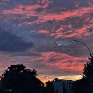 Farangiz Bahriddinova