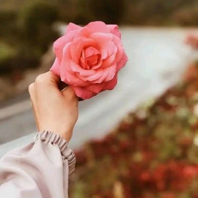 dunyo dunyo Profile Picture