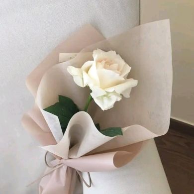 mohammadimran Profile Picture