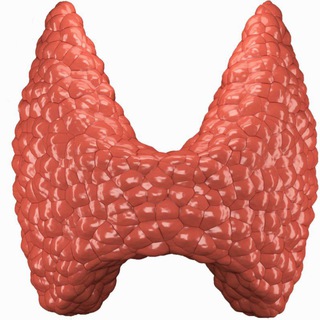 Telegram: View @dr_murod_endokrinolog