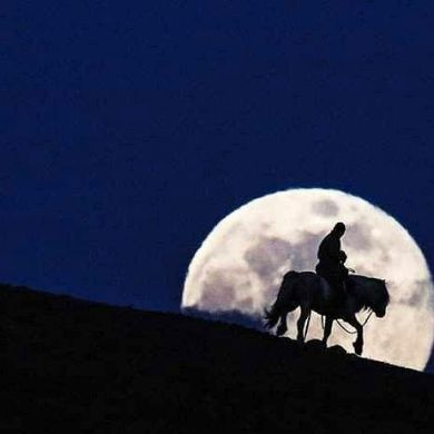 عبدالله الفارسی Profile Picture