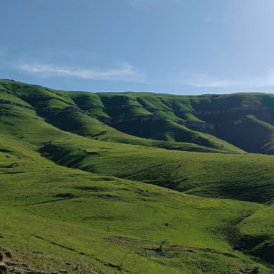 Abu bakr Al Baztar profile picture