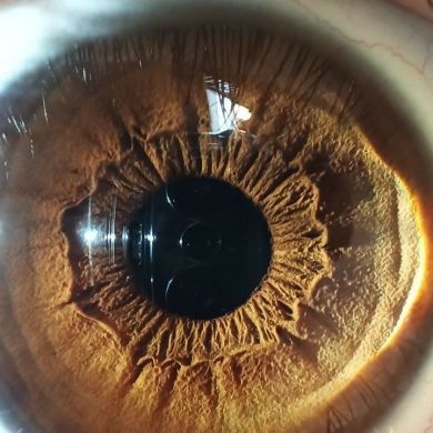 عبد الحكيم والنعيم