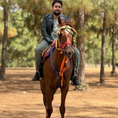 ياسر سيف الدين