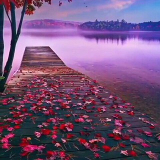 Telegram: Join Group Chat