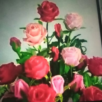 Гайша Сулейменова