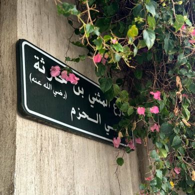 Мухаметов Ильнур