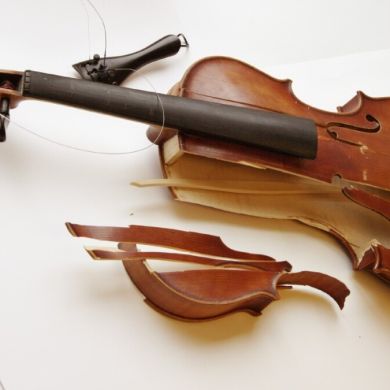 victor Xavier Profile Picture