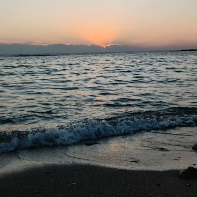 Саад Абу Умайр