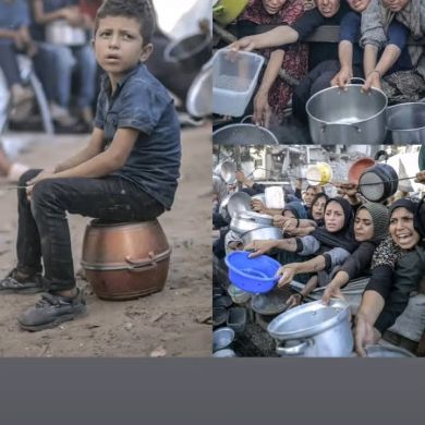 sehu siraj Profile Picture