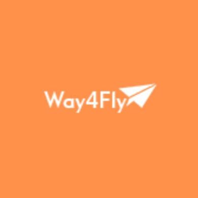 Way Fly Profile Picture