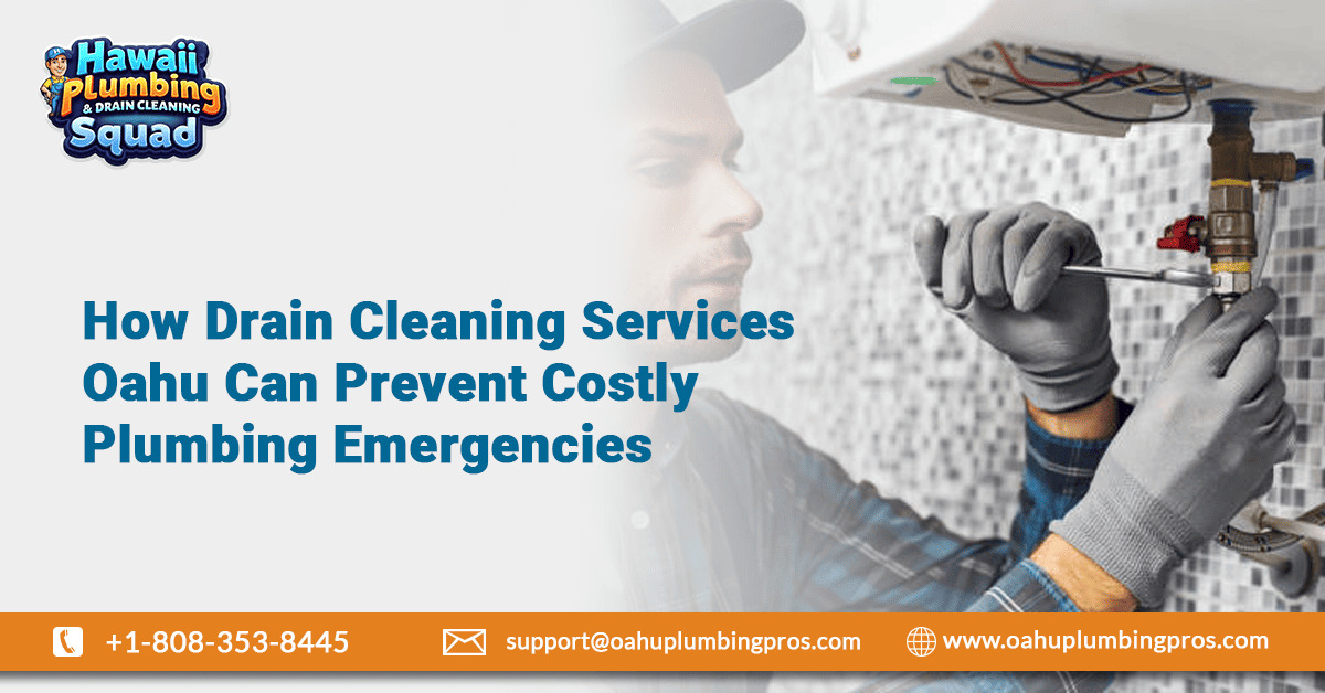 How Often Should You Clean Your Drains in Oahu? A Homeowner’s Guide – @hawaiiplumbing on Tumblr