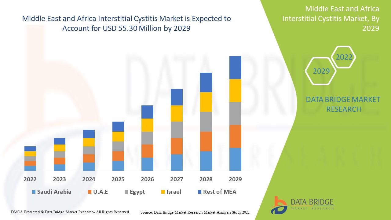 Middle East and Africa Interstitial Cystitis Market Report – Industry Trends and Forecast to 2029 | Data Bridge Market Research