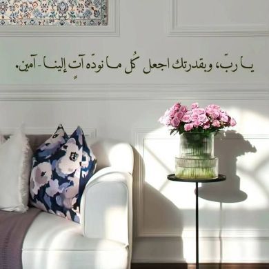 seada hashim Profile Picture