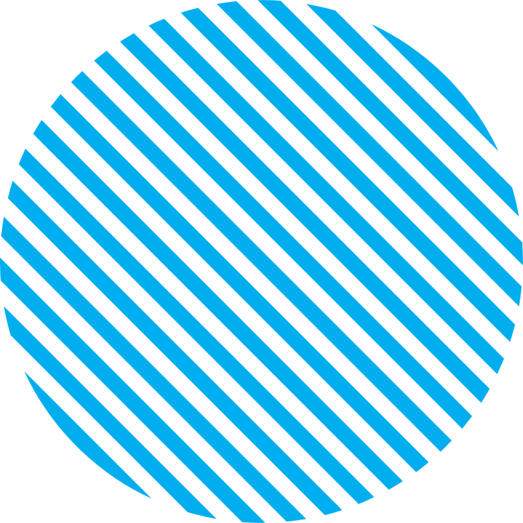 Workbook Development Services & Worksheet Creation Services