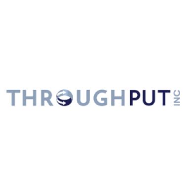 Throughput Inc profile picture