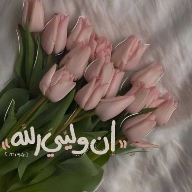 Ala khshan آلاء خشان