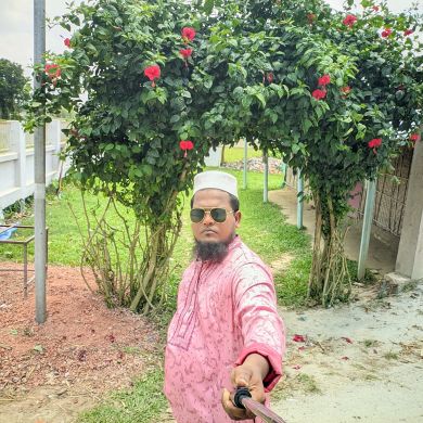 Md Ismail hossen