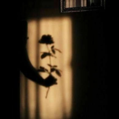 fazliddin_abdulloh Profile Picture