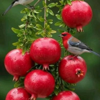 Mister Nafy Profile Picture