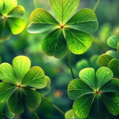 Kathy Brock Profile Picture