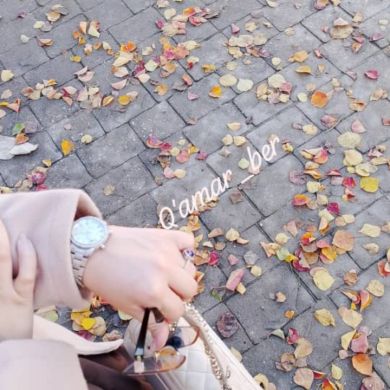 Qamar Ber Profile Picture