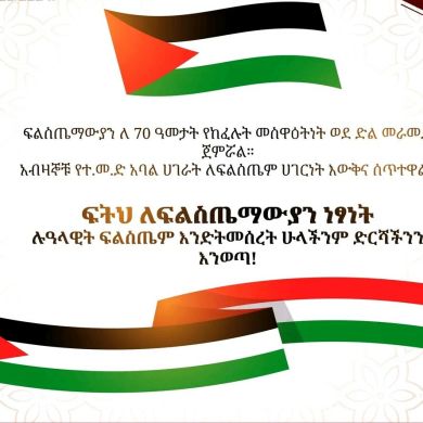 SeidNuruAbdu Profile Picture