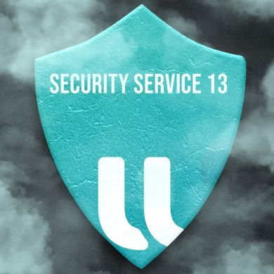 Security Service 13 Profile Picture
