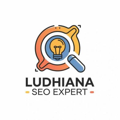 Ludhiana SEO Experts