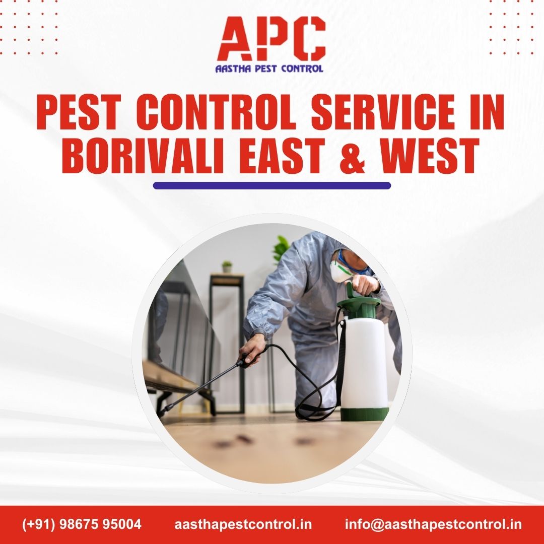 What Makes Aastha Pest Control Service in Borivali Reliable and Affordable - Flip Article