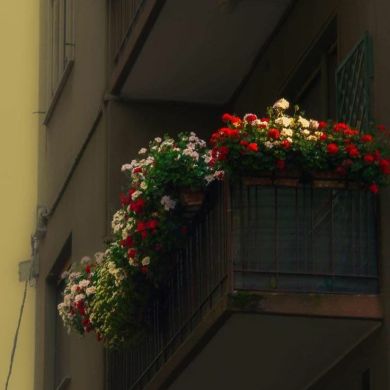 Gulsanam Daniyarova Profile Picture