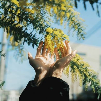 UmUthman Nata Profile Picture