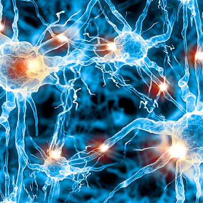 Sports Medicine, Longevity and Wellness Clinic in Dubai