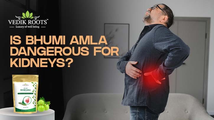 Is Bhumi Amla Dangerous for Kidneys? – Jeevan Veda