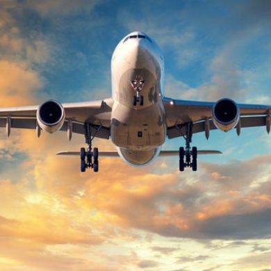 aniya liu Profile Picture