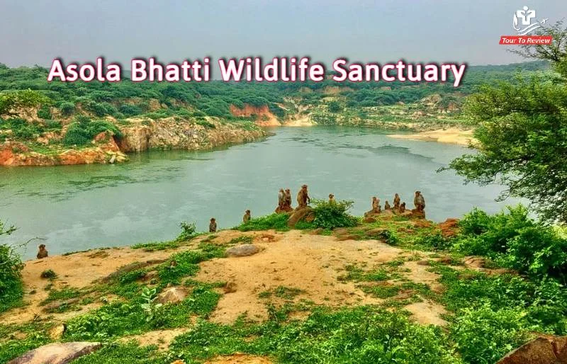 Asola Bhatti Wildlife Sanctuary: A Must-Visit