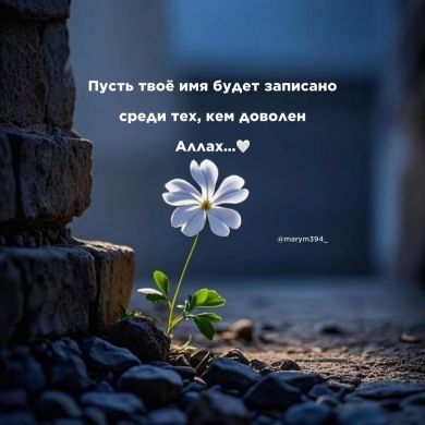 Амина Алиева