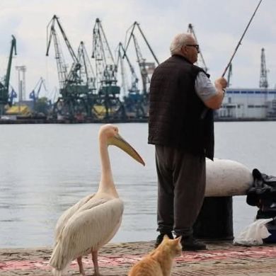 Абу Марьям И Profile Picture