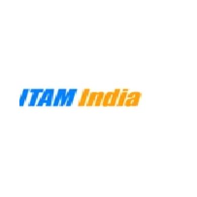 iTAM India - IT Asset Manageme Profile Picture