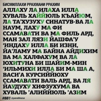 Harper Reese Profile Picture