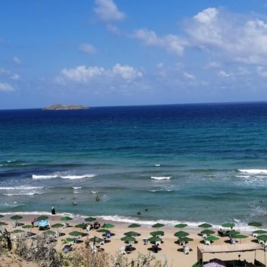 Brahmia Mouhamed Amine