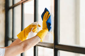 Best Window Cleaning Services Canberra Clear Views for Homes