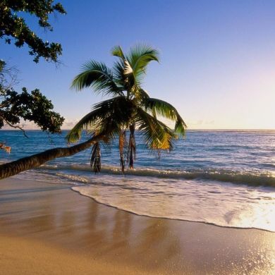 Emirates Estate Profile Picture