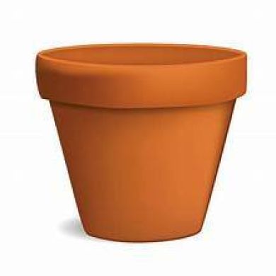 Vedaa Thaan Profile Picture