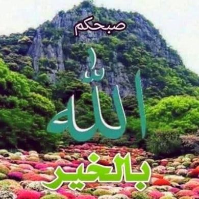 عبدالقادر العباسي